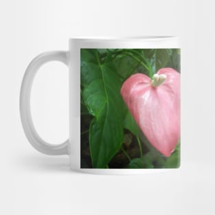 Love Nature Mug